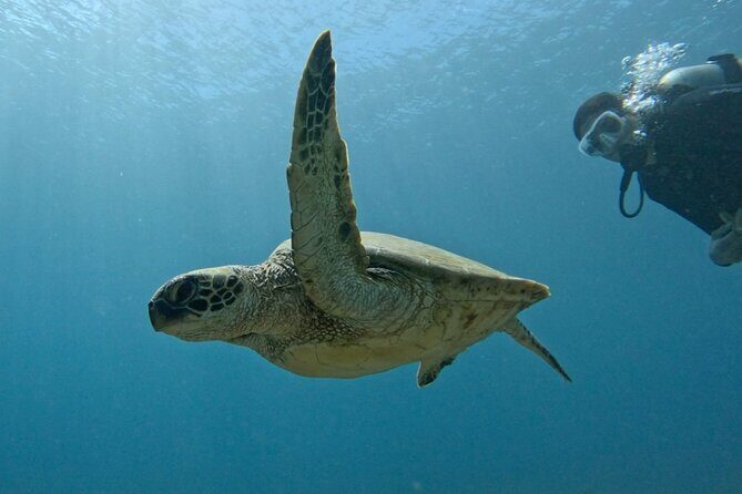 PRIVATE Introductory Discover Scuba Diving For Beginners - Key Points