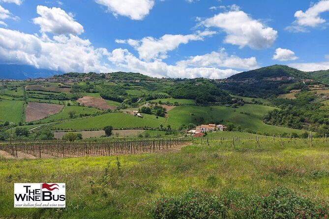 Private Irpinia Wine Tour from POSITANO, AMALFI or RAVELLO - Discovering the Private Irpinia Wine Tour from Positano, Amalfi, or Ravello