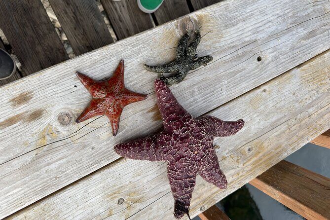 Private Island Experience in Sitka - Ending the Day