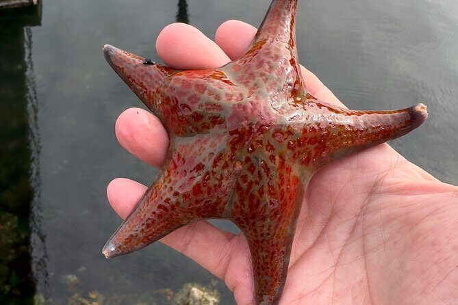 Private Island Experience in Sitka - Practical Considerations