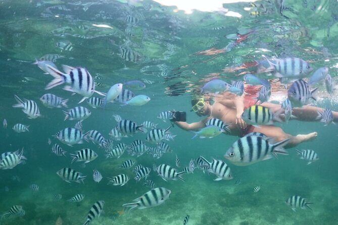 Private Island Hopping from Port Barton with Turtle Watching - What to Expect: An Authentic Day in Port Barton’s Waters