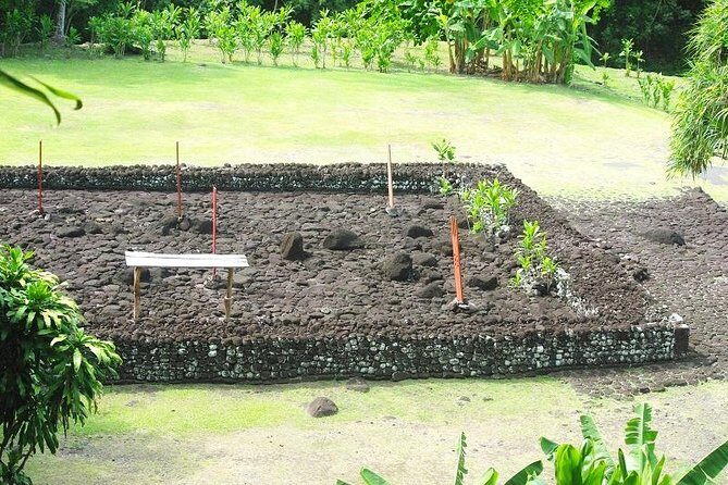 Private Island Tour ( 5 HOURS) - Key Points