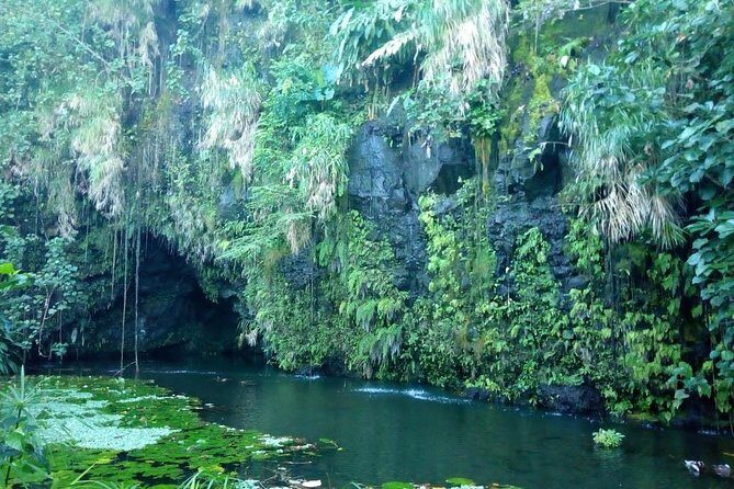 Private Island Tour ( 5 HOURS) - Why You Should Book This Tour