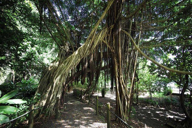 Private Island Tour ( 5 HOURS) - FAQ