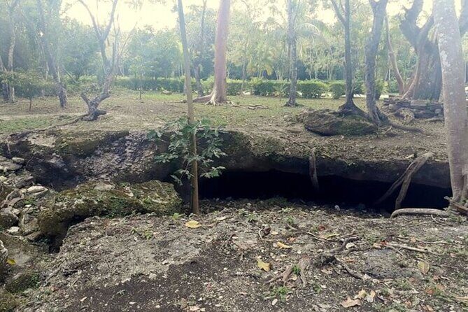 Private Island Tour at Rhythm Cozumel Groups 1 to 6 Passengers - Who should book this tour?