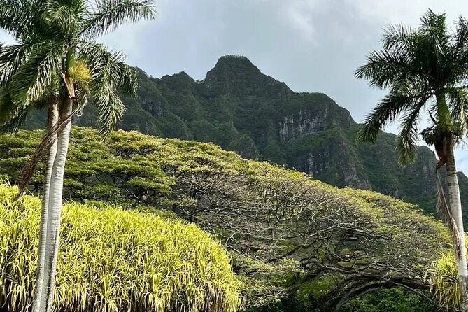 Private Island Tours and Charters through the Island of Oahu - Frequently Asked Questions
