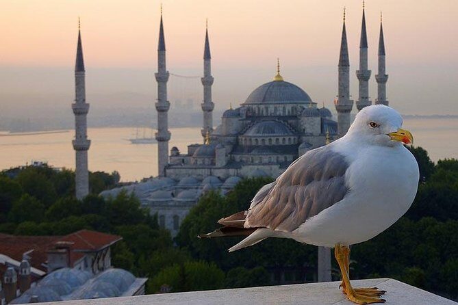 Private Istanbul Layover Tour From Airport - A Closer Look At The Itinerary