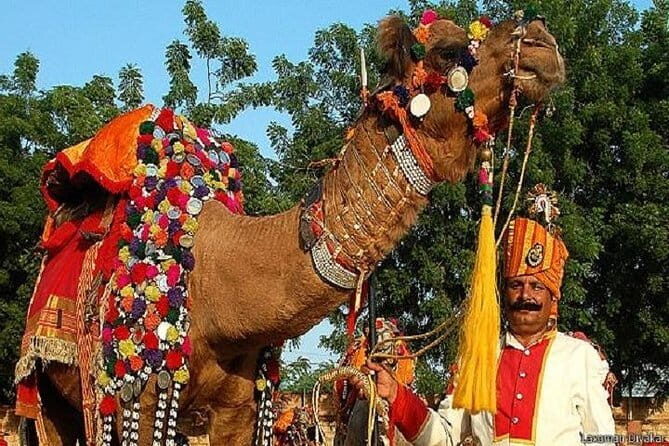 Private Jaipur City Tour From Delhi By Cab With Professional Driver - An In-Depth Look at the 3-Day Jaipur Tour