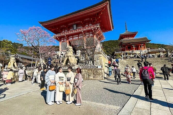 Private Japan Osaka 10 Days Experience - Key Points