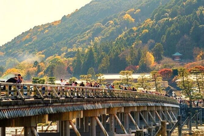 Private Japanese Ancient Tour from Kyoto to Nara - The Authentic Touch