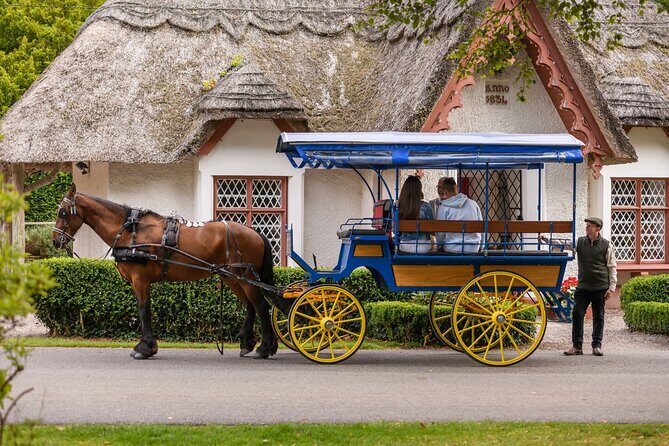 Private Jaunting Tour and Afternoon Tea in Killarney - What You Should Know Before Booking
