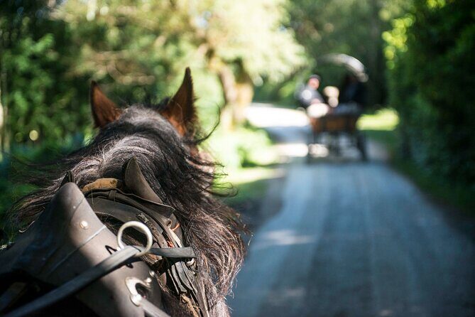 Private Jaunting Tour and Afternoon Tea in Killarney - FAQ
