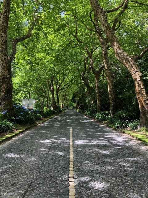 Private Jeep 4x4 Tour - The Comfort and Practicalities