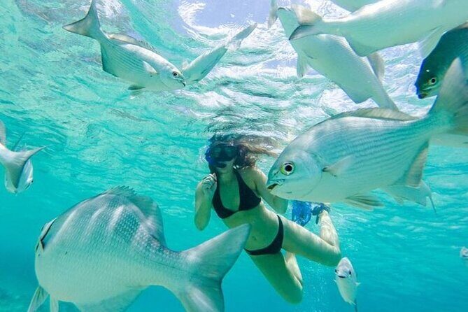 Private Jeep Cozumel Snorkeling Adventure in Jade Cave and Lunch - FAQ