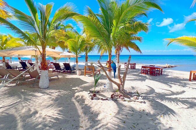 Private Jeep or Buggy Tour Snorkeling Maya Park and Tacos - Practical Details and Tips