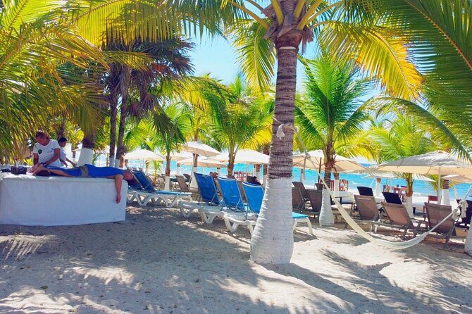 Private Jeep or Buggy Tour Snorkeling Maya Park and Tacos - The Bottom Line: Who Should Take This Tour?