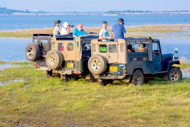 Private Jeep Safari at Minneriya National Park - The Whole Safari Experience: What to Expect