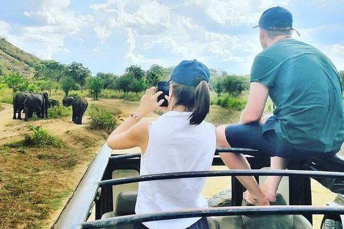 Private Jeep Safari at Minneriya National Park - Final Reflection: Is This Safari Right for You?
