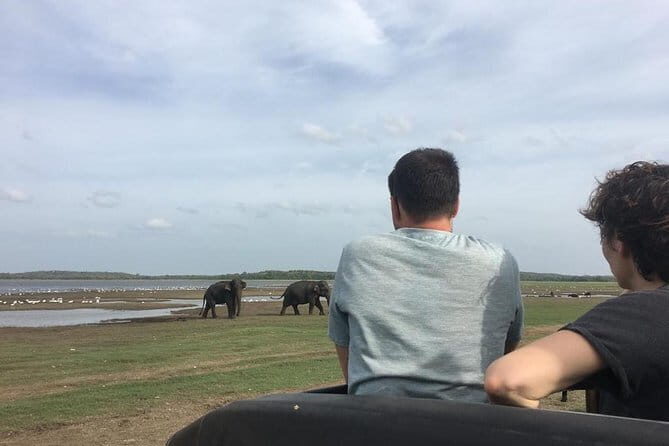 Private Jeep Safari at Minneriya National Park - What to Expect from Your Minneriya Safari