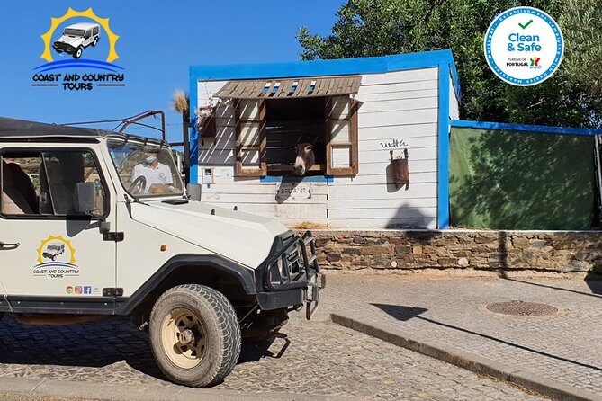 Private Jeep Safari Half-Day Tour - Who Is This Tour Perfect For?