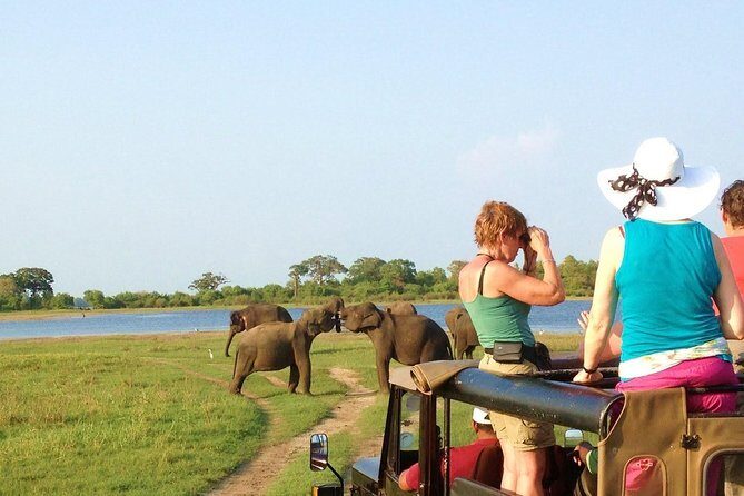 Private Jeep Safari to Kaudulla National Park - A Deep Dive into the Kaudulla Safari Experience