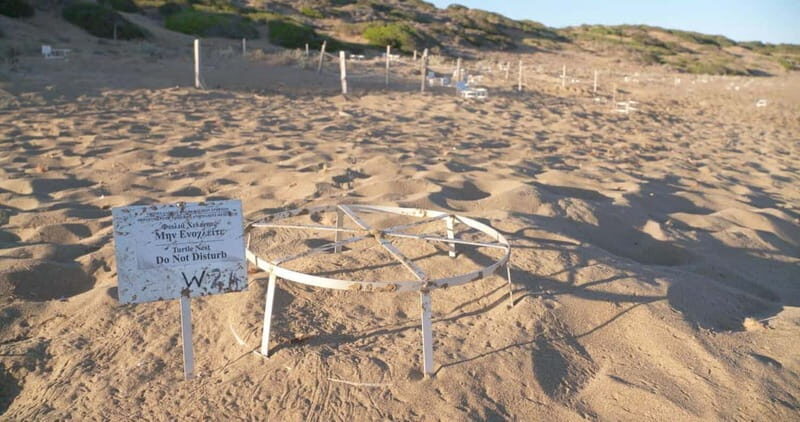 Private Jeep Safari Turtle Adventure & Adonis Waterfalls - Who Should Consider This Tour?