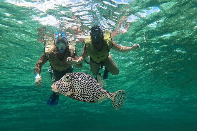 Private Jeep Tour & ATV to Jade Cavern Cenote: All Inclusive - FAQs