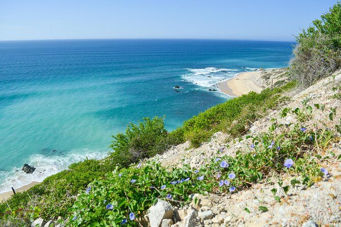 Private Jeep Tour Cabo Pulmo - The Sum Up: Who Should Consider This Tour?
