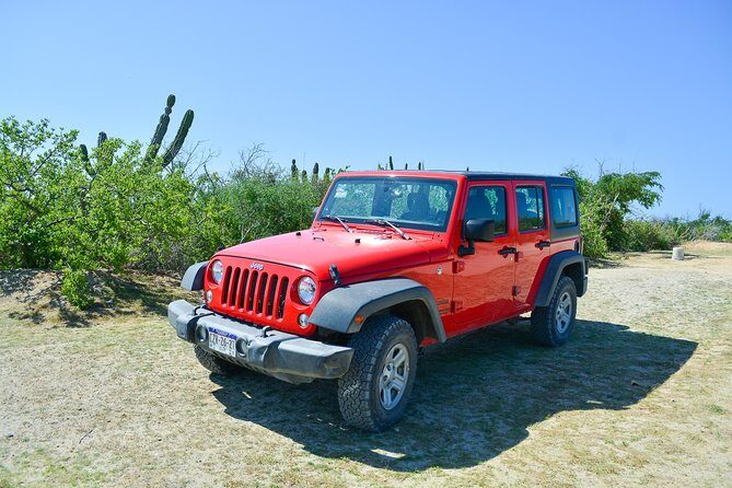 Private Jeep Tour Cabo Pulmo - FAQ