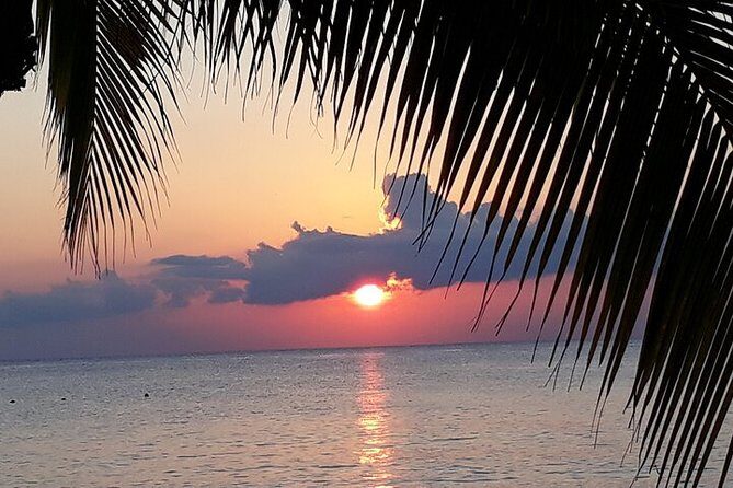 Private Jeep Tour in Cozumel - Who Will Enjoy This Tour Most?