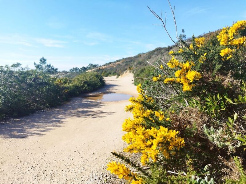 Private Jeep tour to Espichel Mysteries and Wild Beaches - Key Points