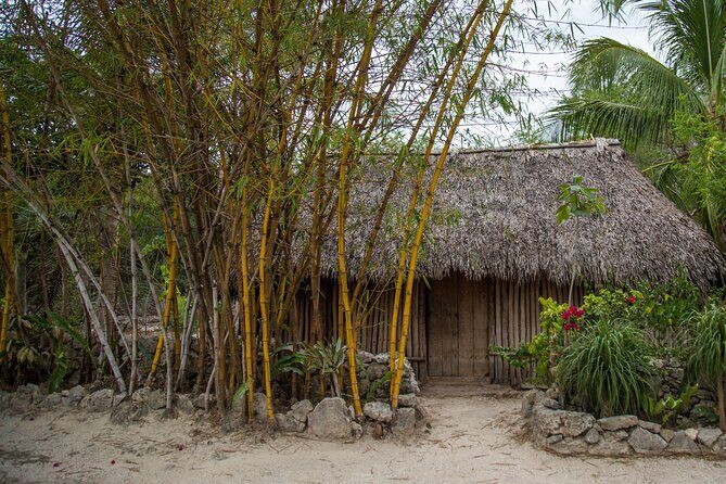 Private Jungle Expedition Tour - FAQ