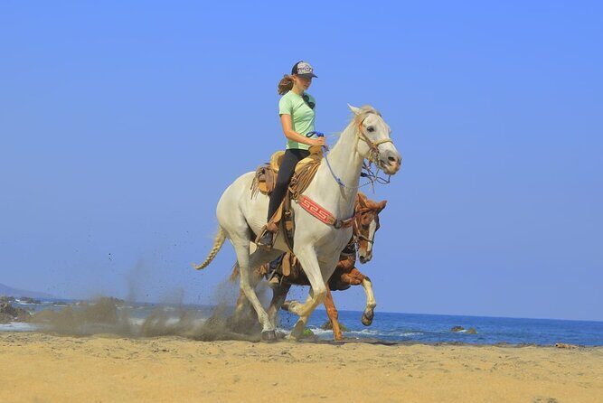 Private Jungle Horseback Adventure - An Authentic Ride through Sayulita’s Nature