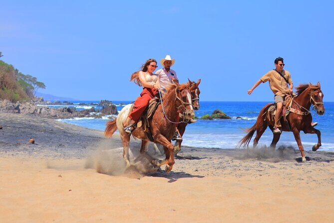 Private Jungle Horseback Adventure - Who Should Consider This Tour?