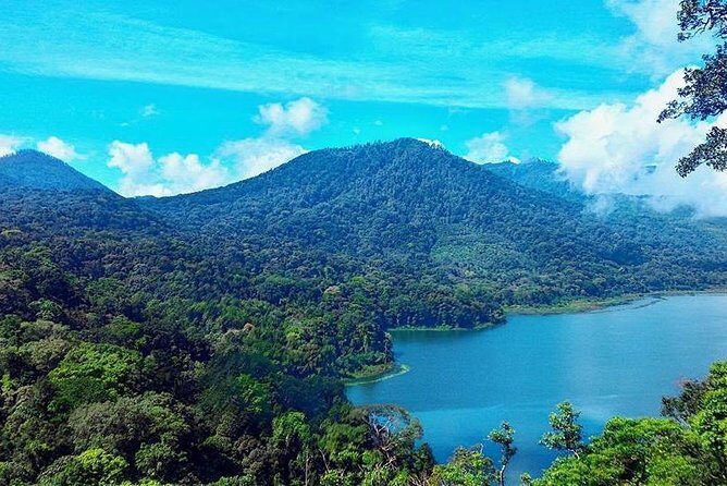 Private Jungle Trekking Tour with Tamblingan Lake Canoeing - What to Expect from the Tour