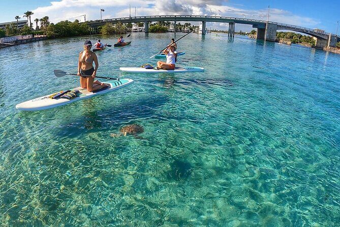 Private Jupiter Island Guided Paddle Boarding Tour - The Sum Up: Who Will Love This Tour?