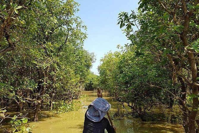 Private Kampong Phluk Village boat trip - Cost & Value Analysis