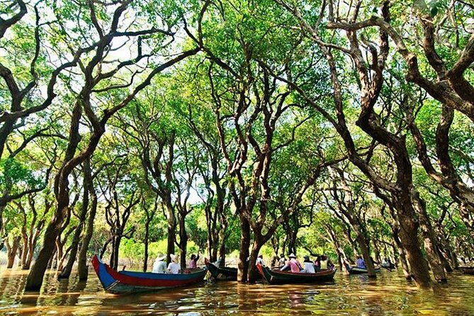 Private Kampong Phluk Village boat trip - Who Should Consider This Tour?