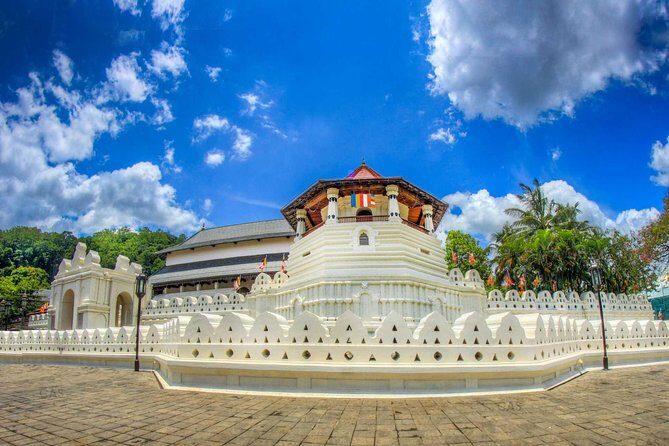 Private Kandy Day Tour From Negombo - Analyzing the Price: Does It Offer Good Value?