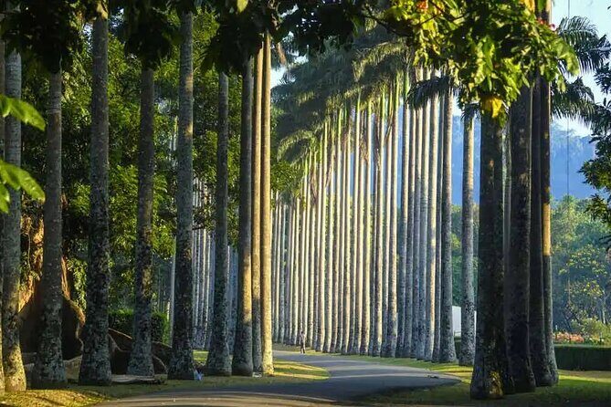 Private Kandy Day Tour From Negombo - FAQs