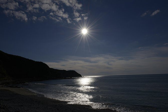 Private Kapiti Coast Full Day Tour - Final Thoughts: Is This Tour Right for You?