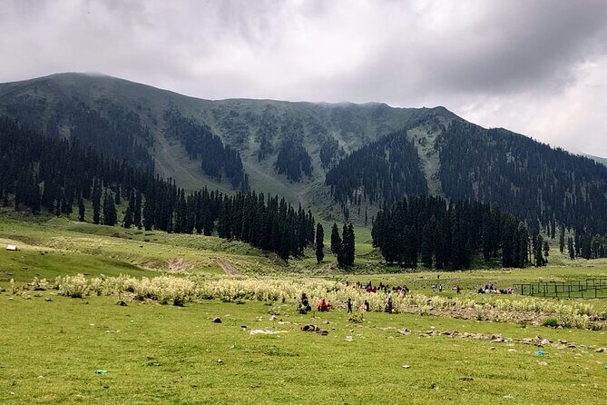 Private Kashmir Family 7-Day Tour - Exploring the Itinerary in Detail