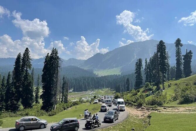 Private Kashmir Family 7-Day Tour - The Sum Up