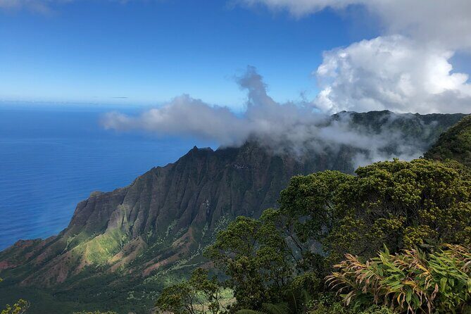 Private Kauai Island Tour : Waimea Canyon, Kalalau Lookout + More - The Value of a Private Tour