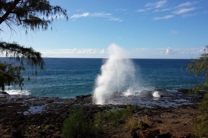 Private Kauai Island Tour : Waimea Canyon, Kalalau Lookout + More - Final Thoughts