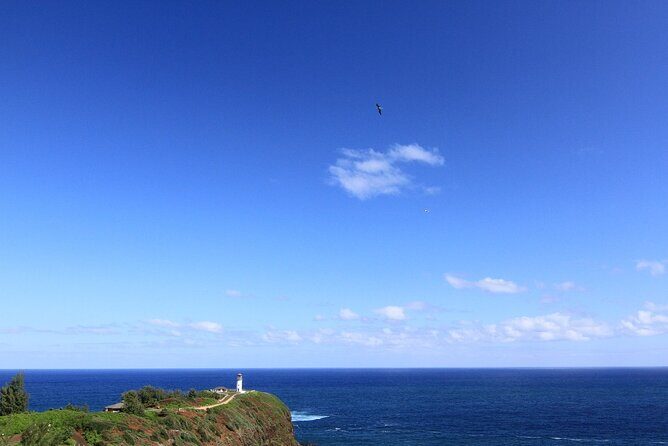 Private Kauai Island Tour : Waimea Canyon, Kalalau Lookout + More - Final Recommendations