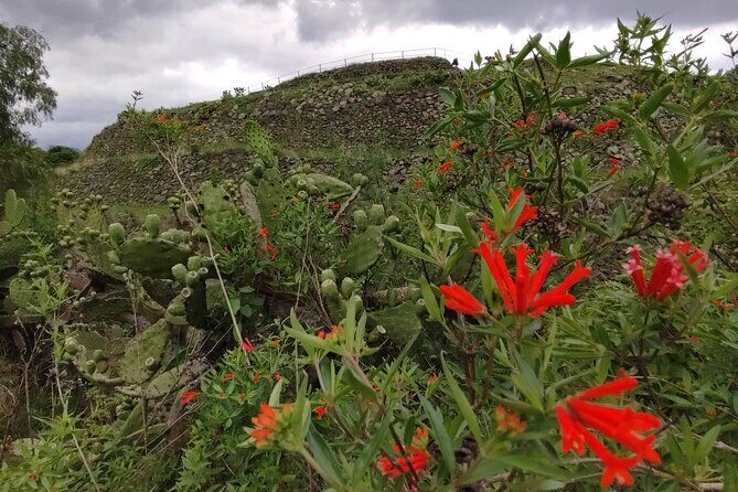 Private kayaks tour in Xochimilco & Cuicuilco pyramid - Who Should Consider This Tour?