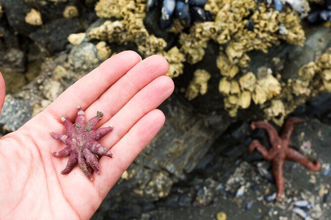 Private Ketchikan Wildlife and Sightseeing Tour - The Itinerary in Detail: What to Expect from Each Stop