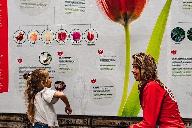 Private Keukenhof Gardens and Tulip Fields Tour from Amsterdam - The Tulip Experience Amsterdam: A Flower History Lesson