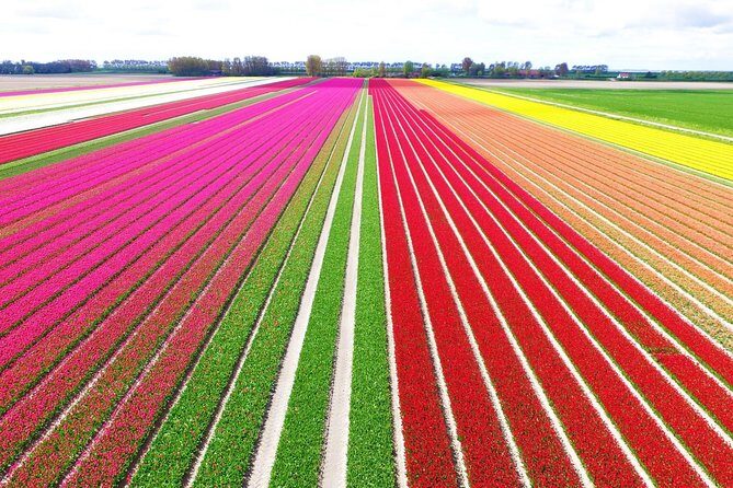 Private Keukenhof Tulip Fields Tour From Amsterdam(Skip-The-Line) - A Closer Look at the Tour: What to Expect